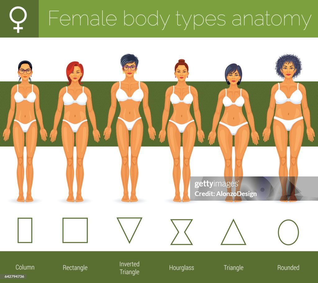 Female Body Types High-Res Vector Graphic - Getty Images