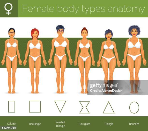 female body types - voluptuous stock illustrations