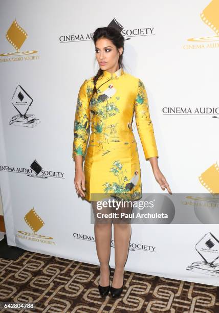 Actress Janina Gavankar attends the 53rd Annual Cinema Audio Society Awards at Omni Los Angeles Hotel at California Plaza on February 18, 2017 in Los...