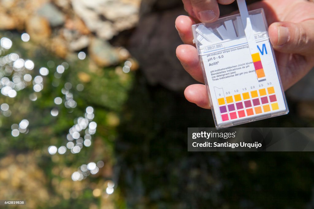 Scientist measuring the ph on a contaminated river