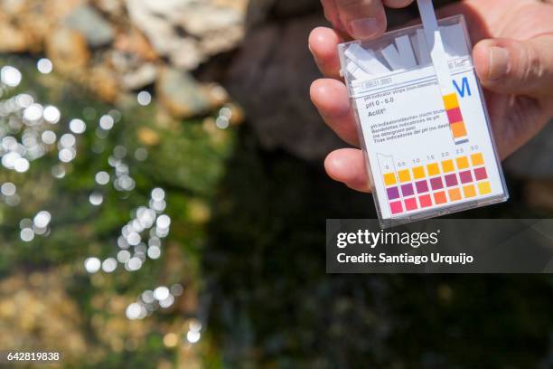 scientist measuring the ph on a contaminated river - euglena gracilis stock pictures, royalty-free photos & images