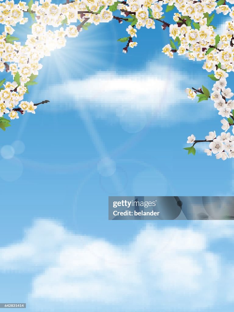 Spring Tree Image Branches Display Spring Tree Branches With Leaves And Flowers On Sky High-Res Vector ...