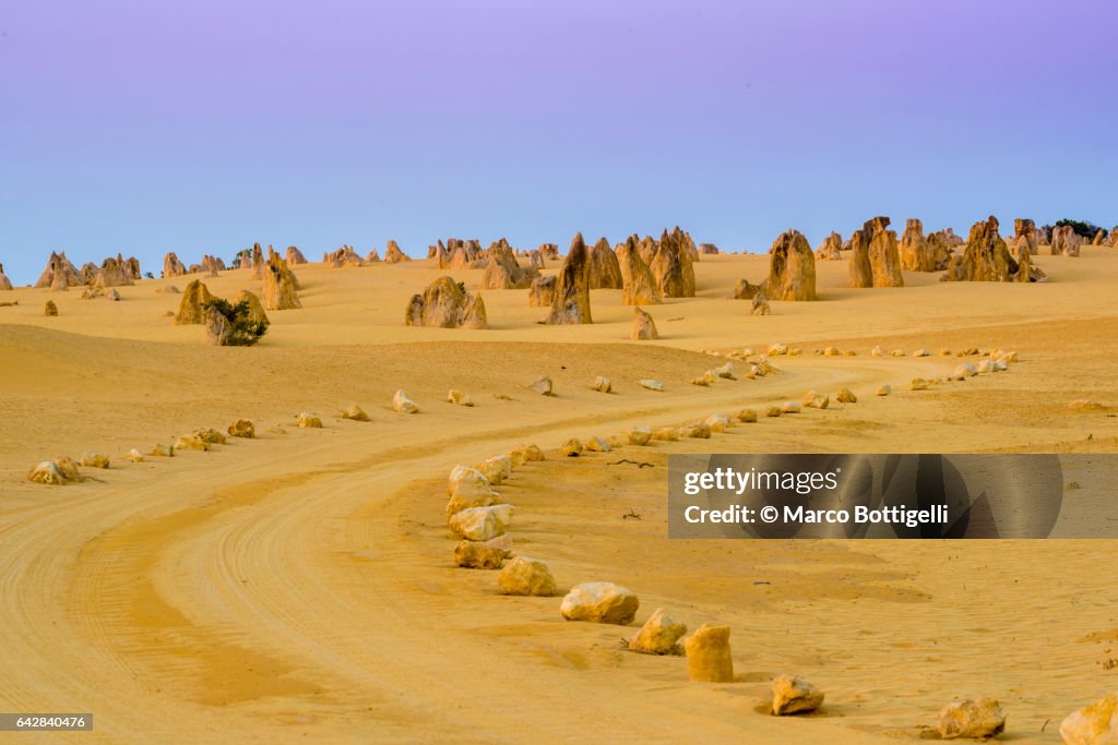 Dirt road between the limestone rocks at Pinnacle Desert national park at dusk. Western Australia.