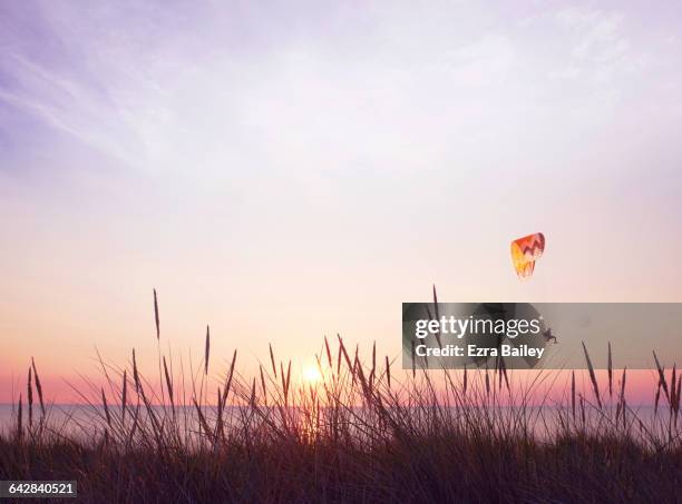 paraglider over sea at sunset - grass silhouette stock pictures, royalty-free photos & images