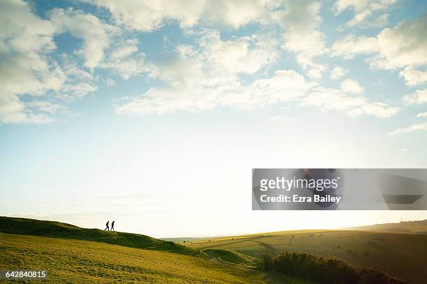silhouette of couple walking on hilltop - hill stock pictures, royalty-free photos & images