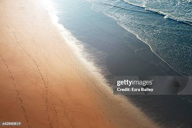 tracks in the sand along the sea shore - beach footprints stock pictures, royalty-free photos & images