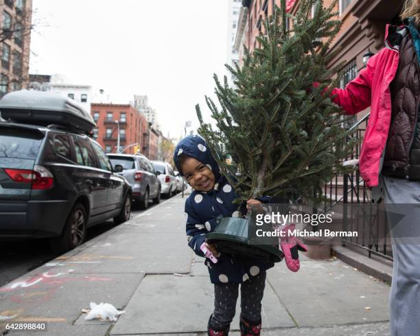 young girl carrying christmas tree in new york city - auto mieten stock pictures, royalty-free photos & images
