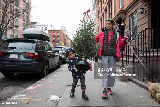 young girl and her mom with christmas tree in new york city - auto mieten stock pictures, royalty-free photos & images