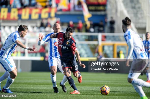 Palladino Raffaele during the Italian Serie A football match Pescara vs Genoa on February 19 in Pescara, Italy.