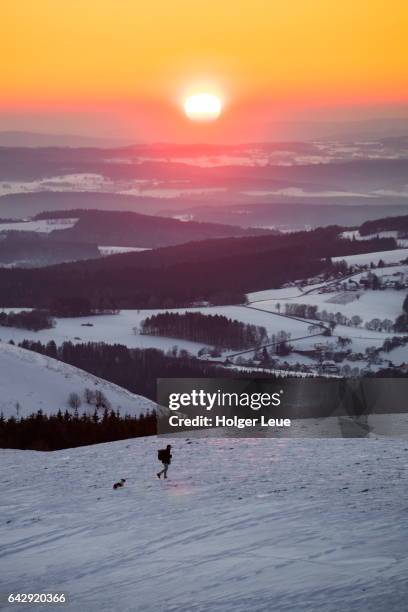 man and dog on wasserkuppe mountain at sunset - rhön stock-fotos und bilder