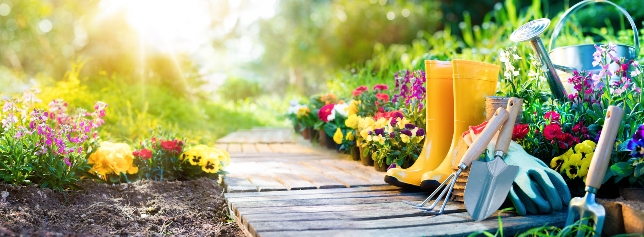 spring garden tools