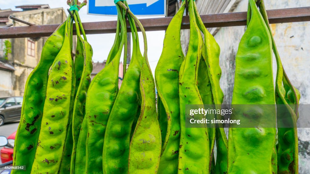 Bitter bean, Twisted cluster bean or Stink bean