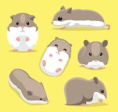Cute Hamster Poses Cartoon Vector Illustration