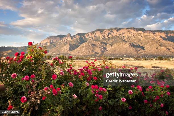 sandia bergen - sandia mountains stockfoto's en -beelden