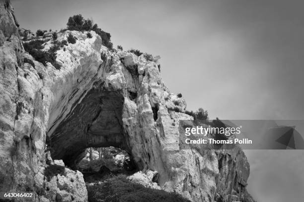 limestone arch - cassis fruit stock-fotos und bilder