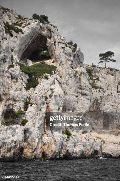 limestone arch - cassis fruit stock pictures, royalty-free photos & images