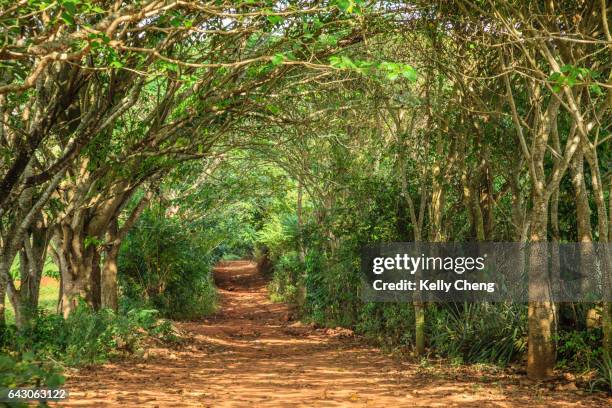 cuba: travel - 243 2013 stock pictures, royalty-free photos & images