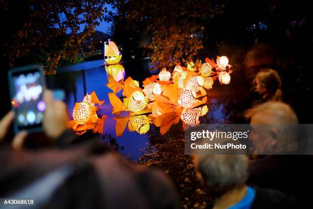 The Christchurch Lantern Festival celebrate the Year of the Rooster in Hagley Park North, Christchurch, New Zealand, Sunday, Feb. 19, 2017. The...