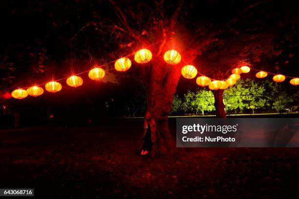 The Christchurch Lantern Festival celebrate the Year of the Rooster in Hagley Park North, Christchurch, New Zealand, Sunday, Feb. 19, 2017. The...