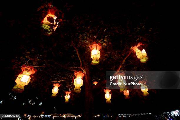 The Christchurch Lantern Festival celebrate the Year of the Rooster in Hagley Park North, Christchurch, New Zealand, Sunday, Feb. 19, 2017. The...