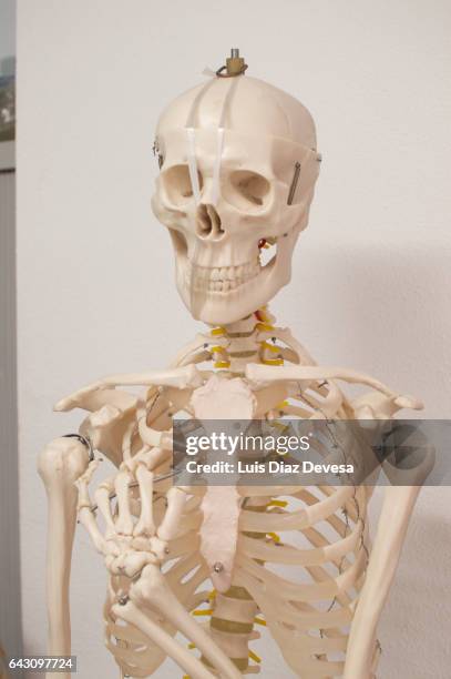 111111111111 - ancient surgery stock pictures, royalty-free photos & images