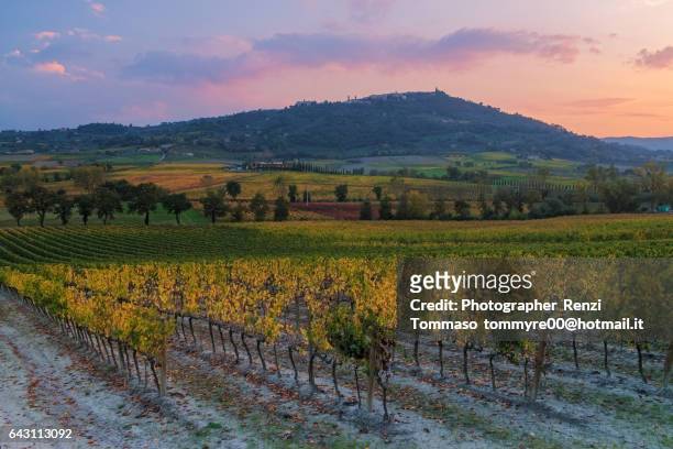 brunello montalcino vineyards and city in autumn at sunset - napa county stock pictures, royalty-free photos & images