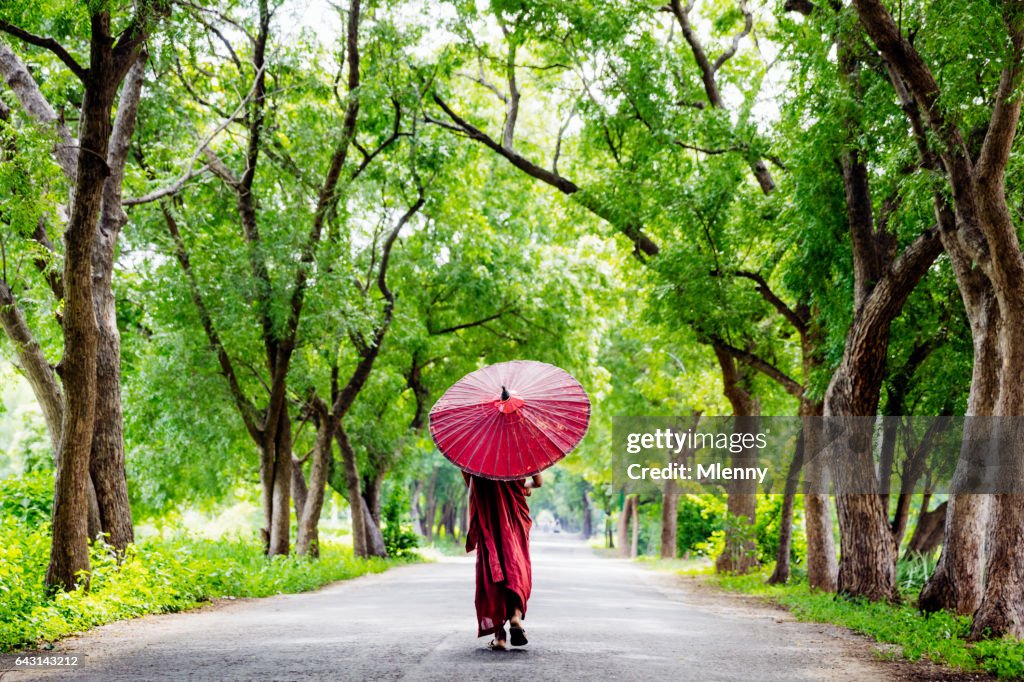 Burmese Monk Walking Along Green Alley Myanmar
