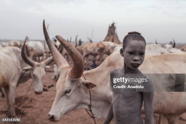 Mundari boy, covered his face and body with ash to protect himself from insects and mosquitos, is seen with his Ankole-Watusi cattles in Terekeka...