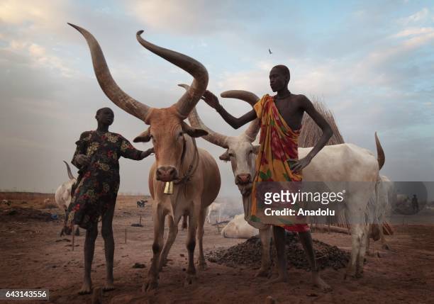 Mundari men are seen with their Ankole-Watusi cattles in Terekeka town of Juba, South Sudan on February 9, 2017. Munda people, a small ethnic group...