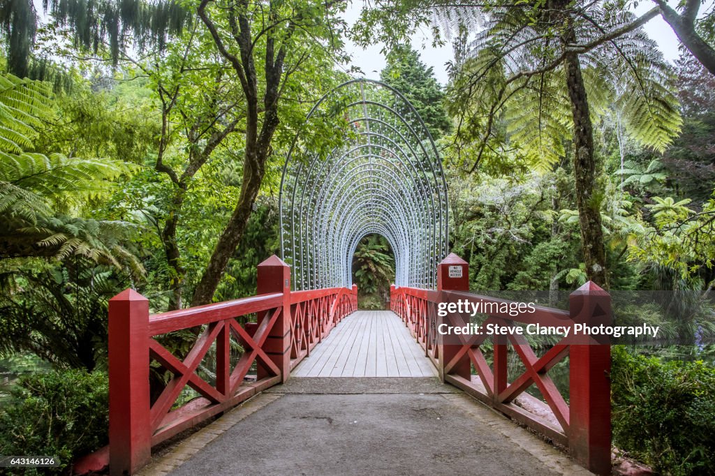 Bridge at Pukekura Park