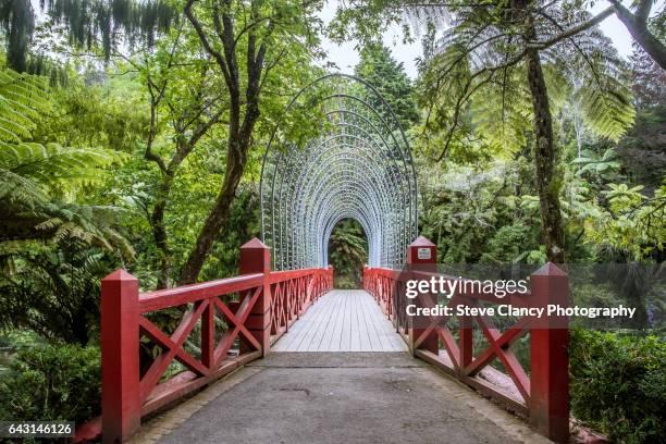 bridge at pukekura park - região de taranaki imagens e fotografias de stock