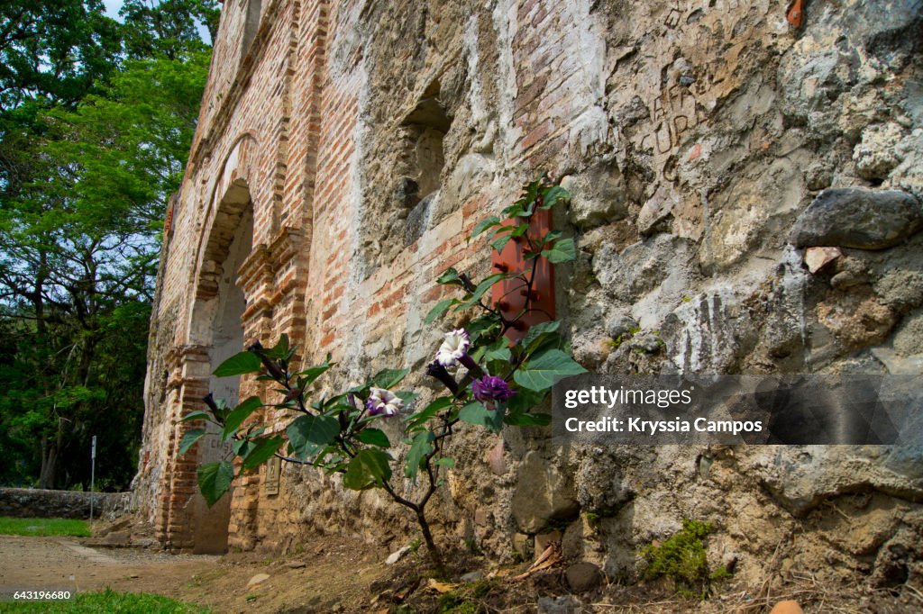 Ruins of Ujarras in the Orosi Valley, Costa Rica, Central America