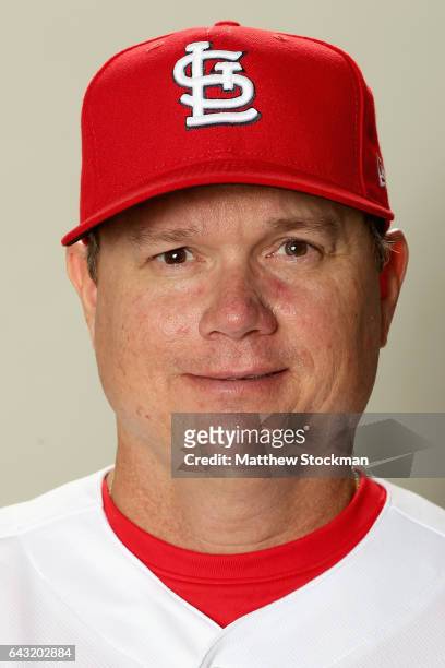 Mike Shildt poses for a portrait during St Louis Cardinals Photo Day at Roger Dean Stadium on February 20, 2017 in Jupiter, Florida.