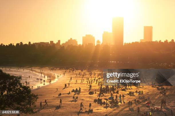 view of buceo beach at sunset, montevideo, uruguay - buceo stockfoto's en -beelden