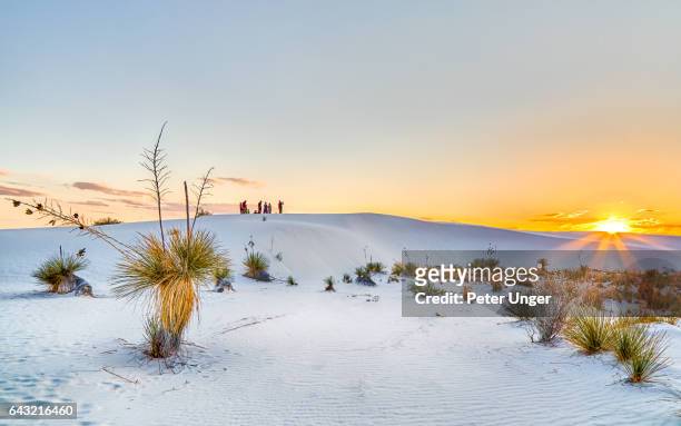 white sands national monument,new mexico,usa - white sand dune stock pictures, royalty-free photos & images