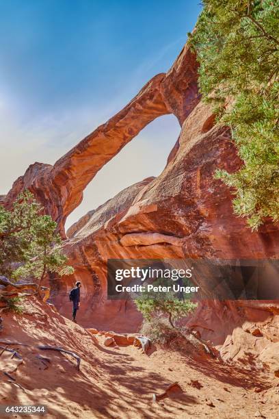 arches national park in utah,usa - devil's garden arches national park stock pictures, royalty-free photos & images