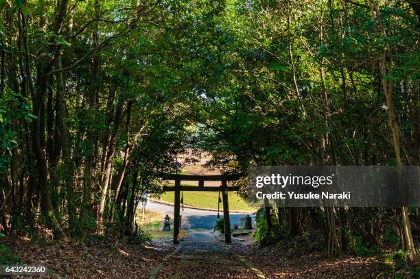 a path to a japanese shinto shrine surrounded by trees - 門 stock pictures, royalty-free photos & images