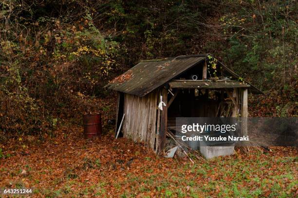 a shack in the countryside - 田舎の風景 stock pictures, royalty-free photos & images