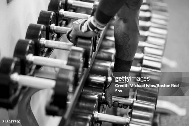 Hanley Ramirez of the Boston Red lifts weights during spring training workouts on February 20, 2017 at jetBlue Park in Fort Myers, Florida.