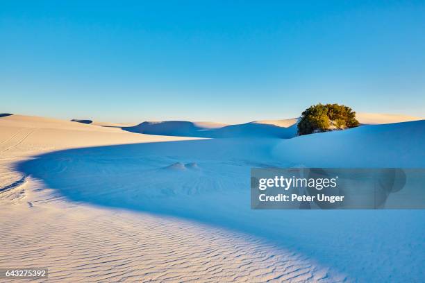 silicon white sand dunes of white sands national monument,new mexico,usa - white sands missile range stock pictures, royalty-free photos & images