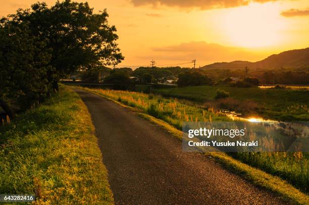 rural landscape in the colors of sunset - 田舎の風景 imagens e fotografias de stock