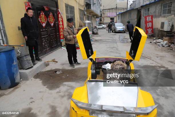 Girl drives miniature Lamborghini made by Chinese farmer Guo Liangyuan on the street on February 21, 2017 in Zhengzhou, Henan Province of China....