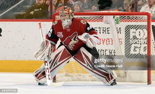 Goalie Marek Langhamer of the Arizona Coyotes stands ready in goal during third period action against the Anaheim Ducks at Gila River Arena on...