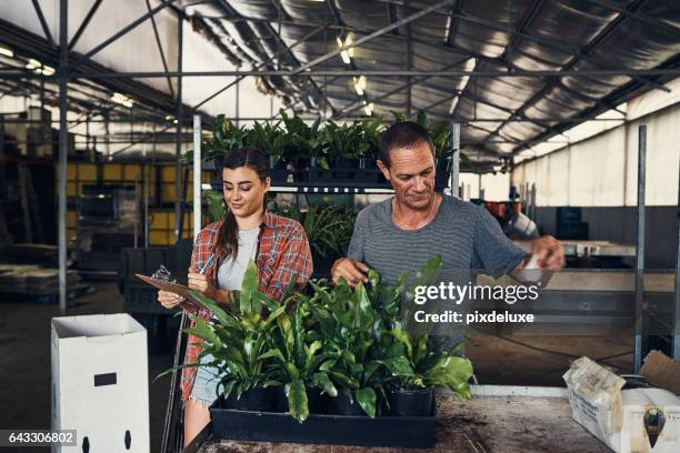 gli esperti di piante - orticoltura foto e immagini stock