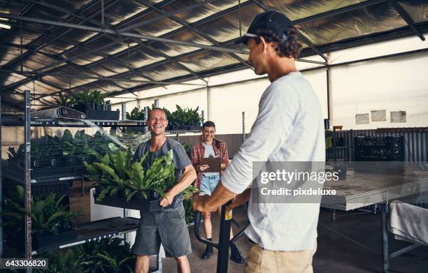 mantenere il centro giardino in forma in alto - orticoltura foto e immagini stock