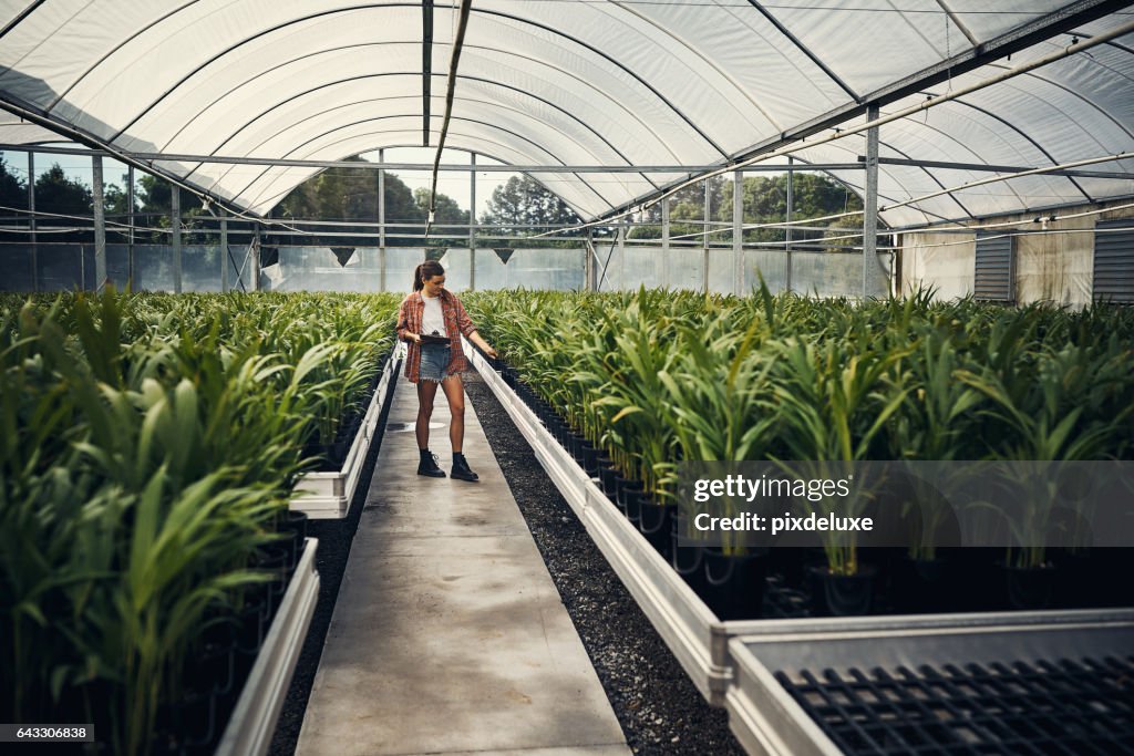 Every plant is accounted for