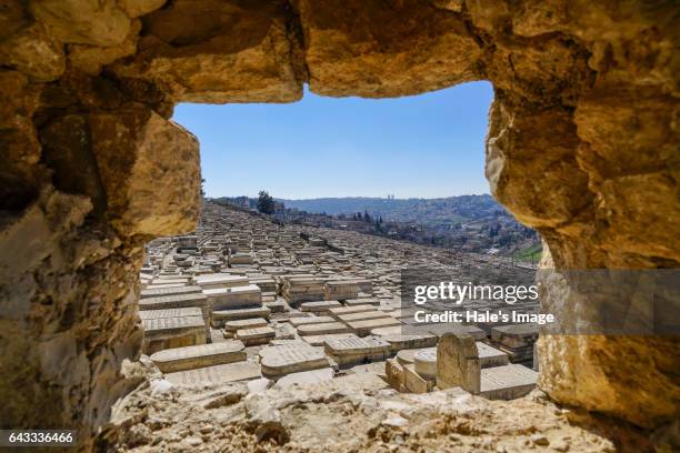 mount olives in jerusalem, israel - summit view cemetery stock pictures, royalty-free photos & images