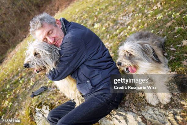 senior man with his two dogs - hairy old man stock-fotos und bilder