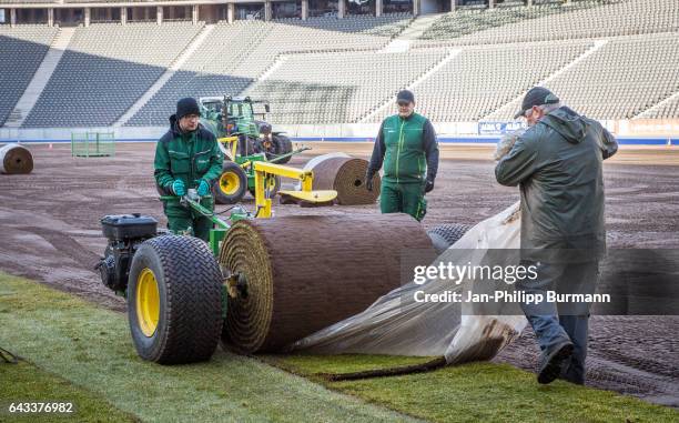 Workers put new grass on the pitch in the Olympiastadion on February 21, 2017 in Berlin, Germany.