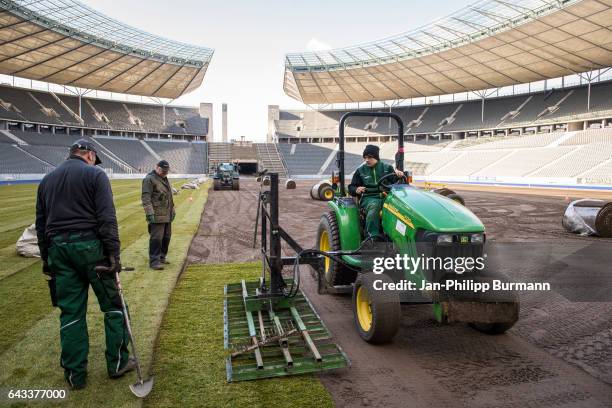 Workers put new grass on the pitch in the Olympiastadion on February 21, 2017 in Berlin, Germany.